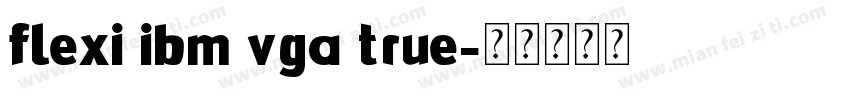Flexi IBM VGA True字体转换